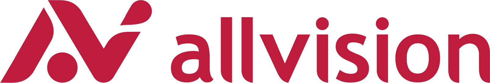 AllVision AllVision